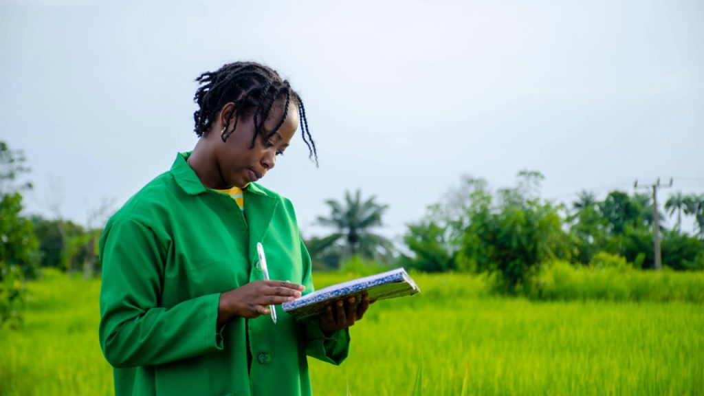 Exportation de produits agricoles par PME Afrique