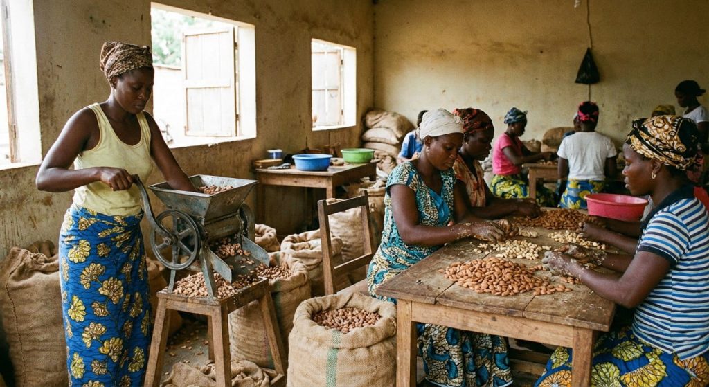 Valorisation de la noix de cajou en Côte d’Ivoire : transformation locale